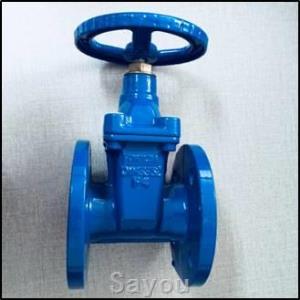 CAST IRON GATE VALVE