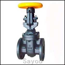 CAST IRON OS & Y GATE VALVE